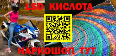винт Будённовск