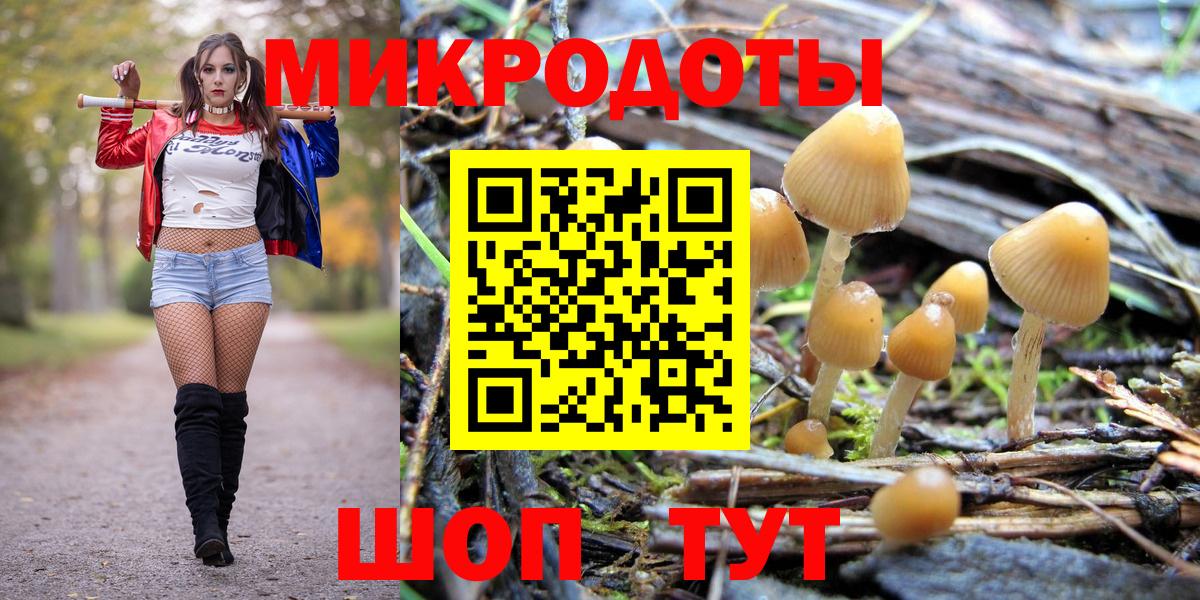 Псилоцибиновые грибы ЛСД Нижний Тагил