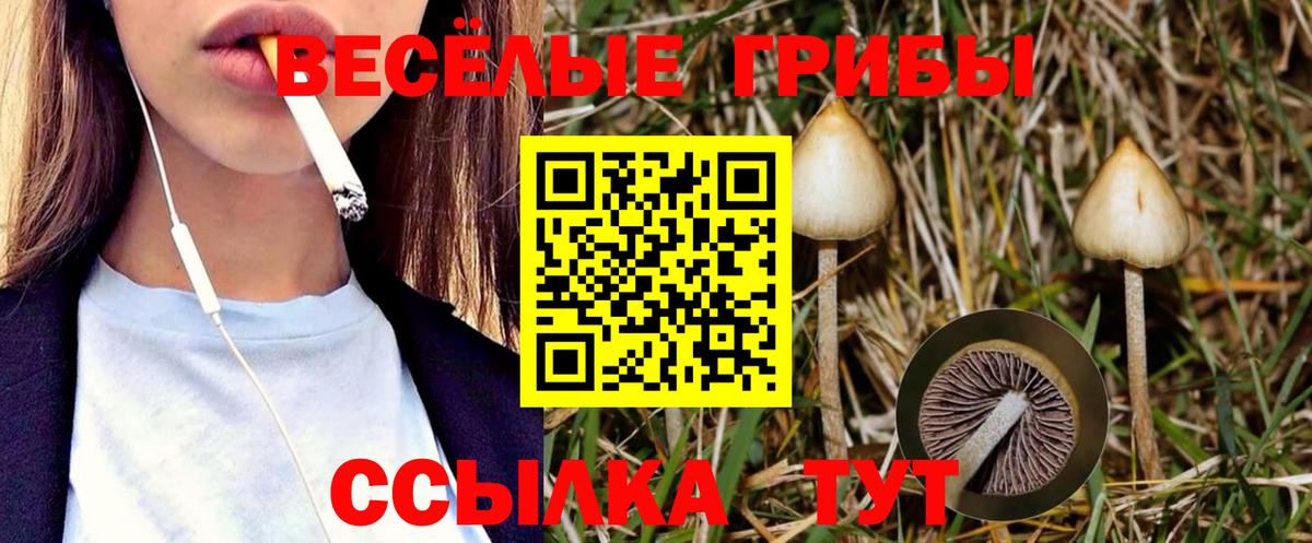 Псилоцибиновые грибы мухоморы  Галлюциногенные грибы Psilocybine cubensis  Нижний Тагил  Вход с VPN 
